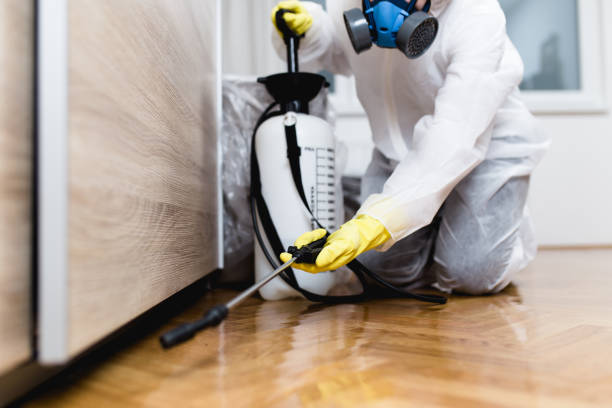 Professional Pest Control in Sycamore, IL