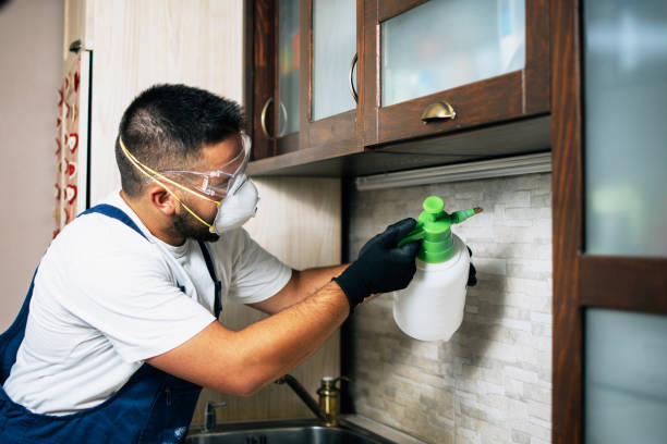 Flea Control Services in Sycamore, IL