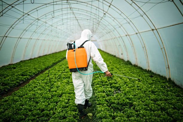 Best Pest Prevention Services  in Sycamore, IL