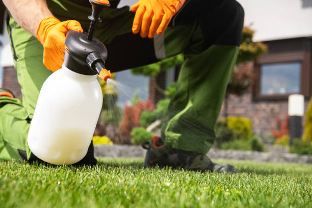 Best Best Pest Control Companies  in Sycamore, IL