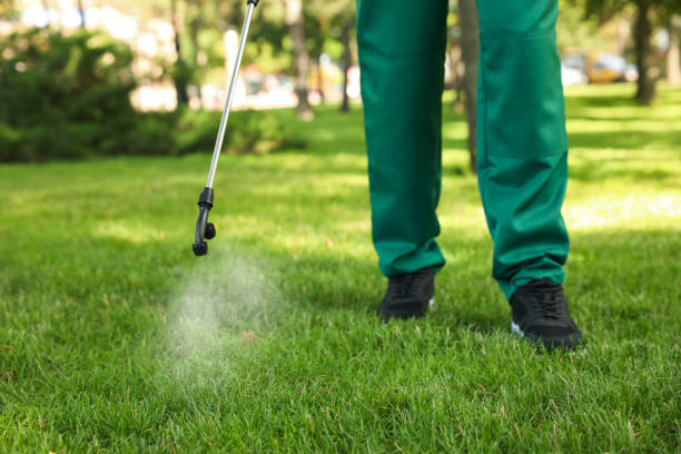 Best Emergency Pest Control  in Sycamore, IL