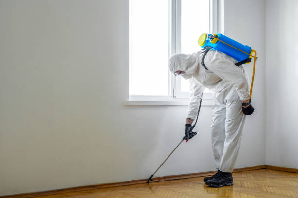 Best Termite Control Services  in Sycamore, IL