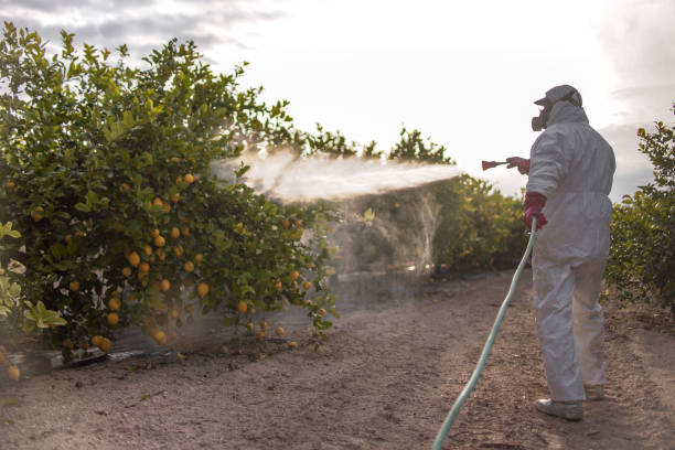 Best Pest Prevention Services  in Sycamore, IL