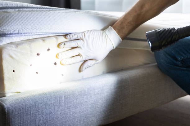 Best Commercial Pest Control Services  in Sycamore, IL