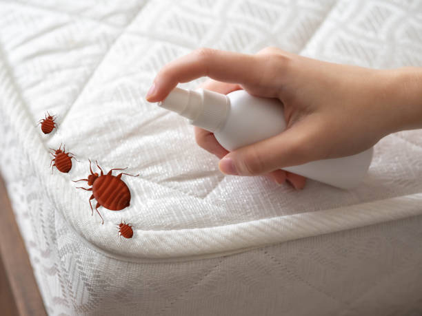 Pest Prevention Services in Sycamore, IL
