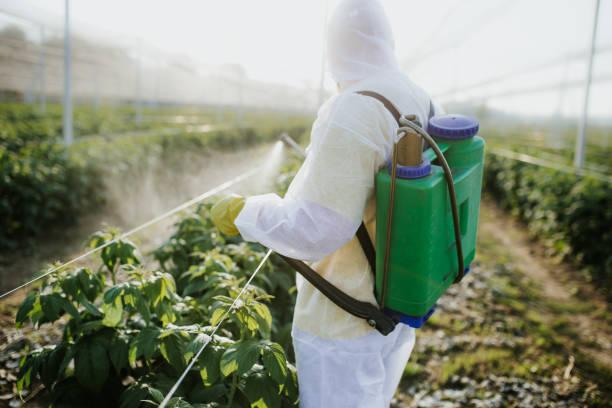 Best Emergency Pest Control  in Sycamore, IL